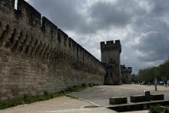 IMG_9245-scaled