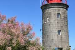 IMG_3326-scaled