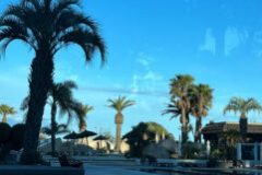 IMG_9287-scaled-e1744826226641