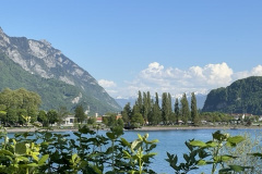 2BAF59F1-F3A0-4DA3-A581-7DBCAD92528C_4_5005_c