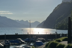 335E4F40-B209-43D6-A964-026600D5903A_4_5005_c