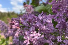 497DD2C8-5C6E-4C03-82D8-1BC1D2B36D6D-scaled