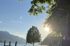 4B034D8A-D32B-49A2-8A8B-21655F3DED09_4_5005_c