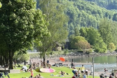 84E79A04-660C-437B-BBE2-A7F5259CF4D3_4_5005_c