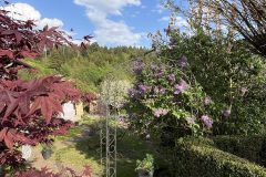 8CFBCC03-045D-4C4F-8F40-6031FDBCD6AA-scaled