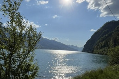 A317D8AA-7936-40B8-BCB6-957FDBD3CC51_4_5005_c