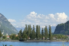 B2B953F8-C605-4C66-9EFA-57280F7BCF84_4_5005_c